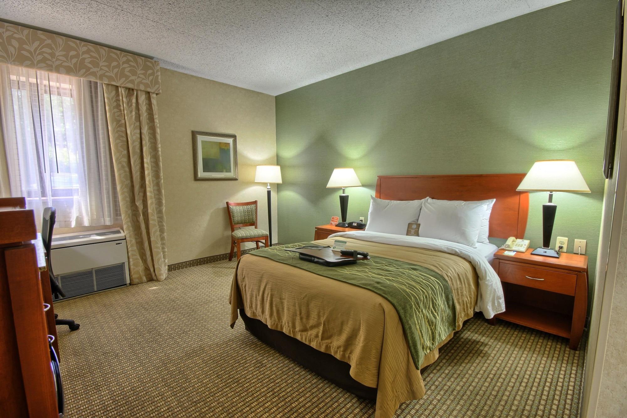 דירבורן Comfort Inn Near Greenfield Village מראה חיצוני תמונה
