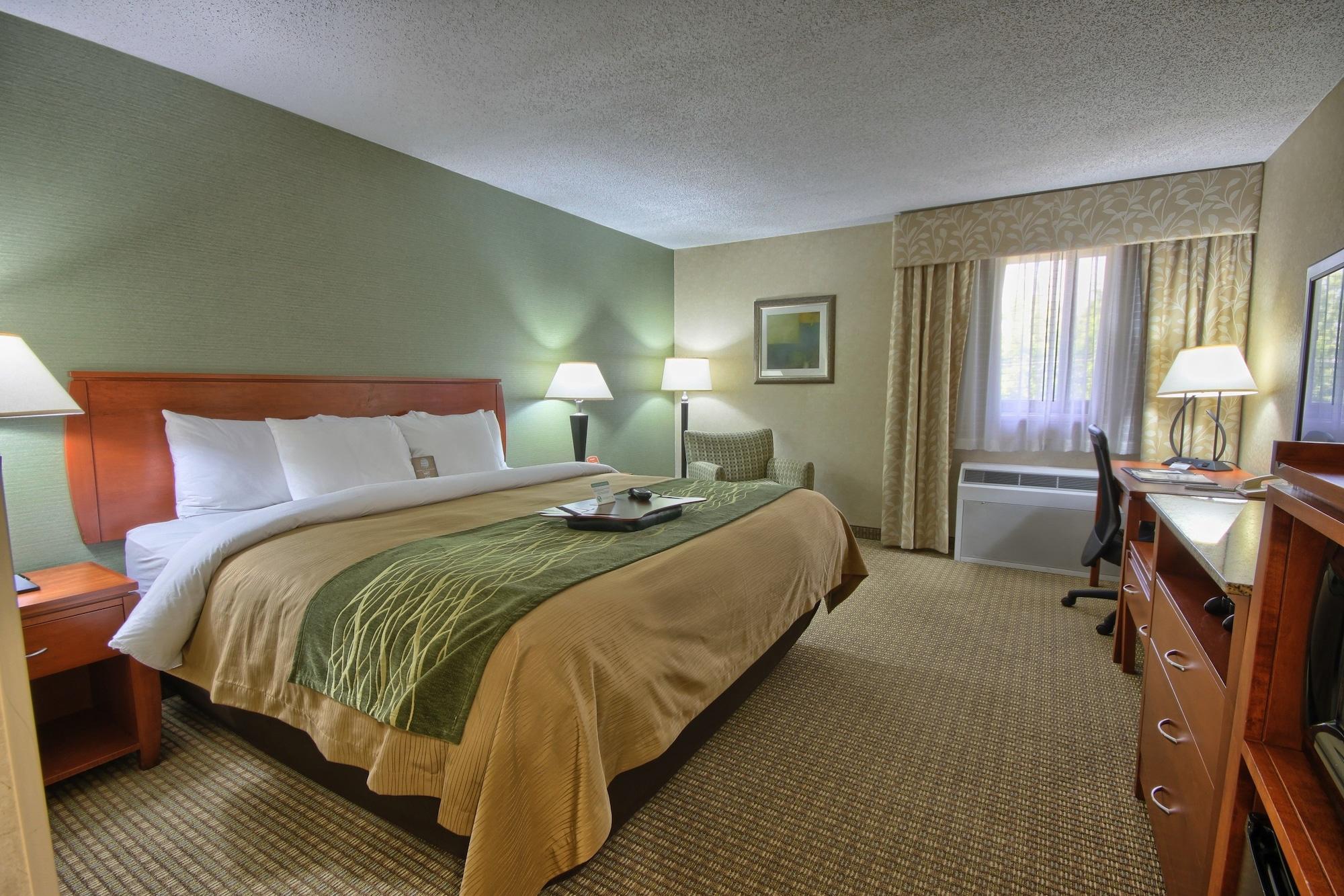 דירבורן Comfort Inn Near Greenfield Village מראה חיצוני תמונה