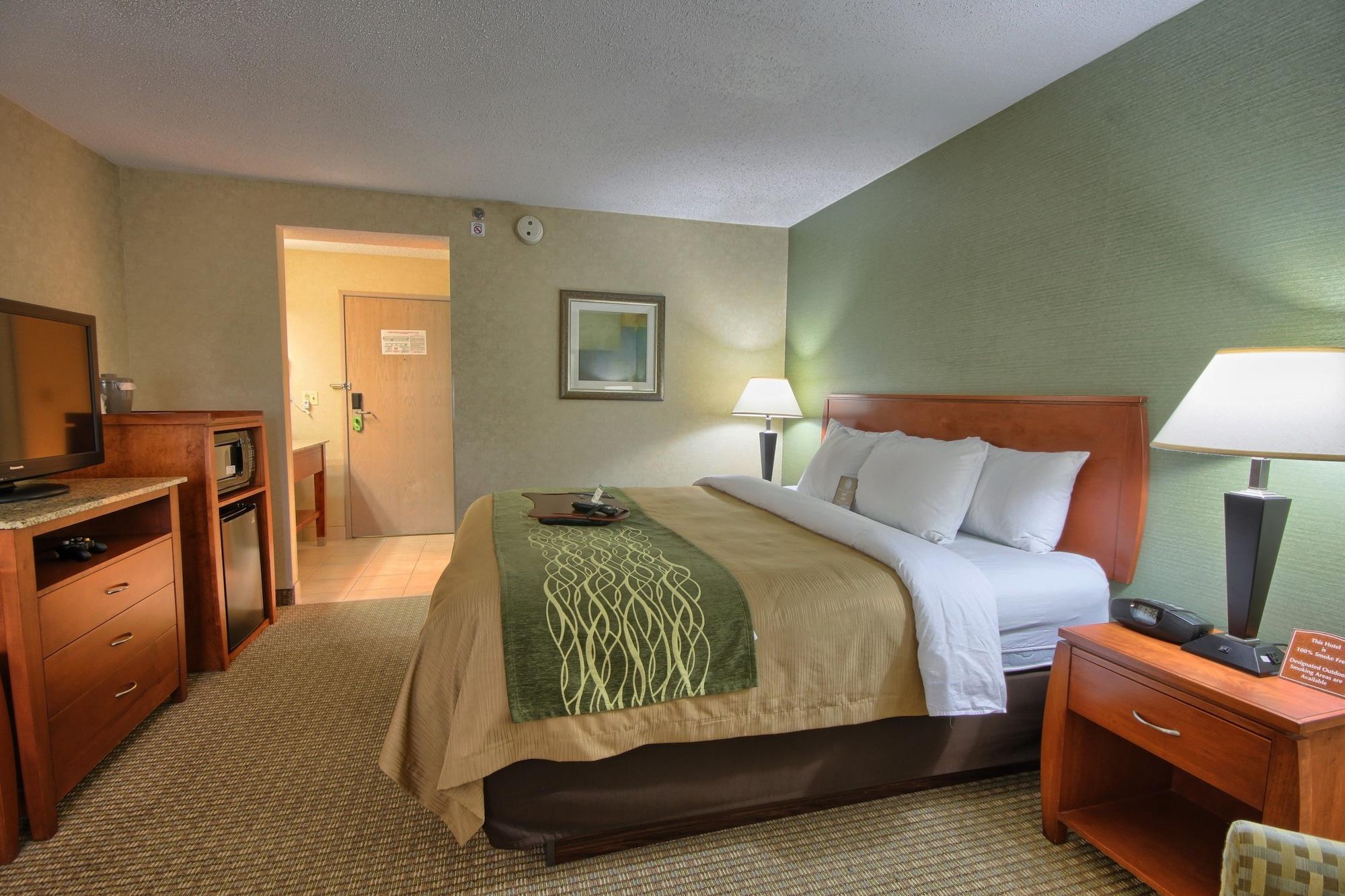 דירבורן Comfort Inn Near Greenfield Village מראה חיצוני תמונה