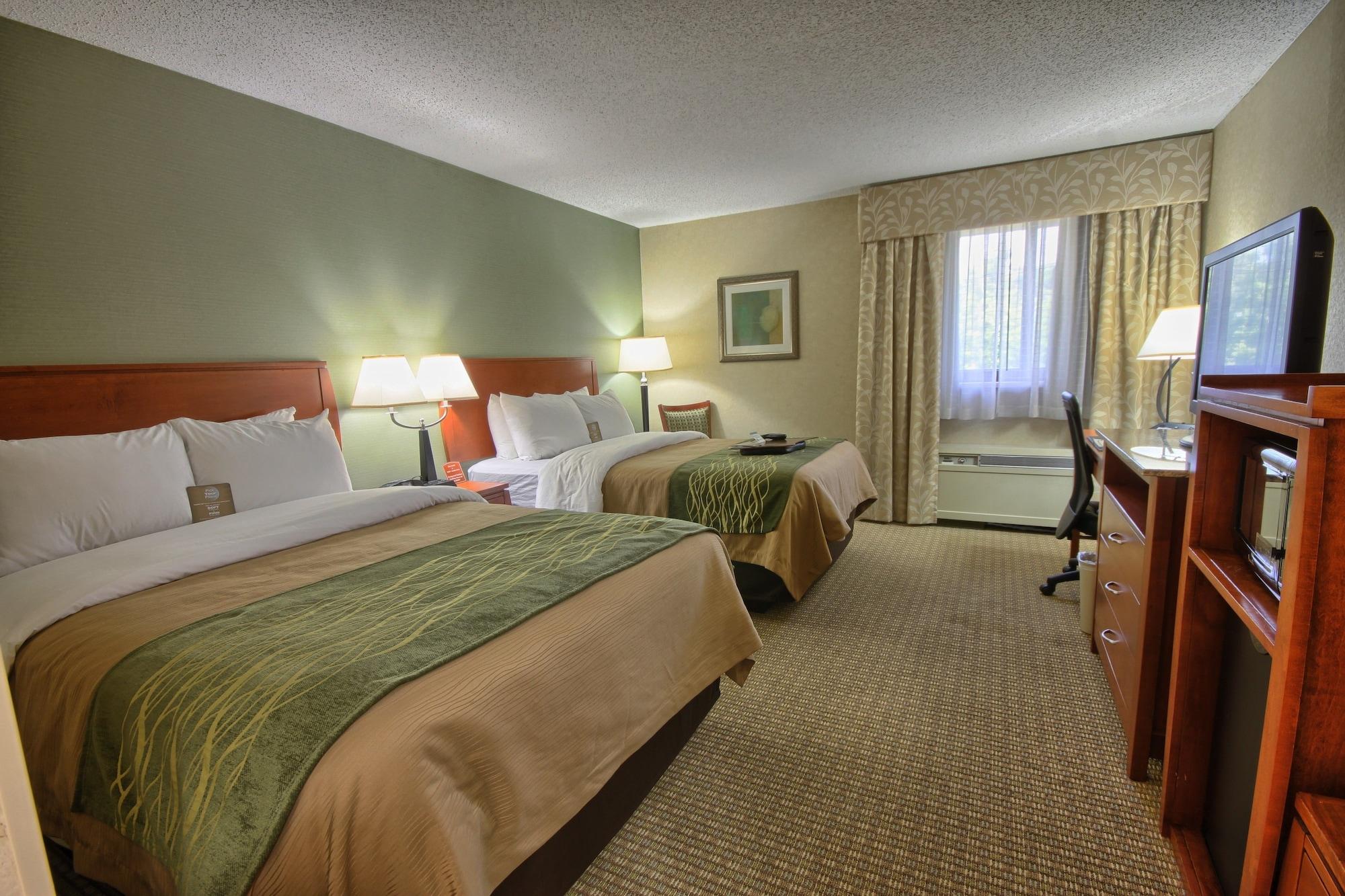 דירבורן Comfort Inn Near Greenfield Village מראה חיצוני תמונה