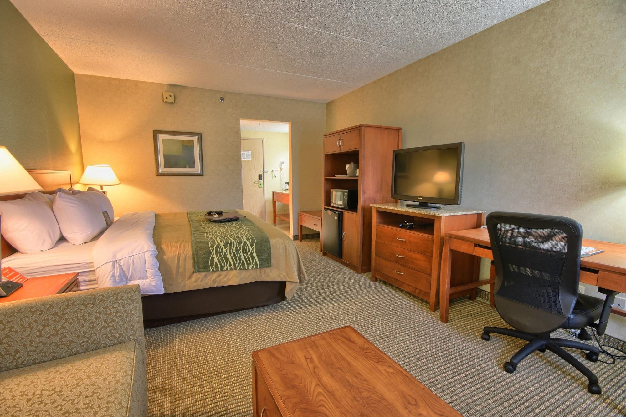 דירבורן Comfort Inn Near Greenfield Village מראה חיצוני תמונה